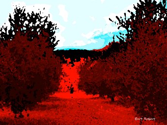 Il bosco rosso